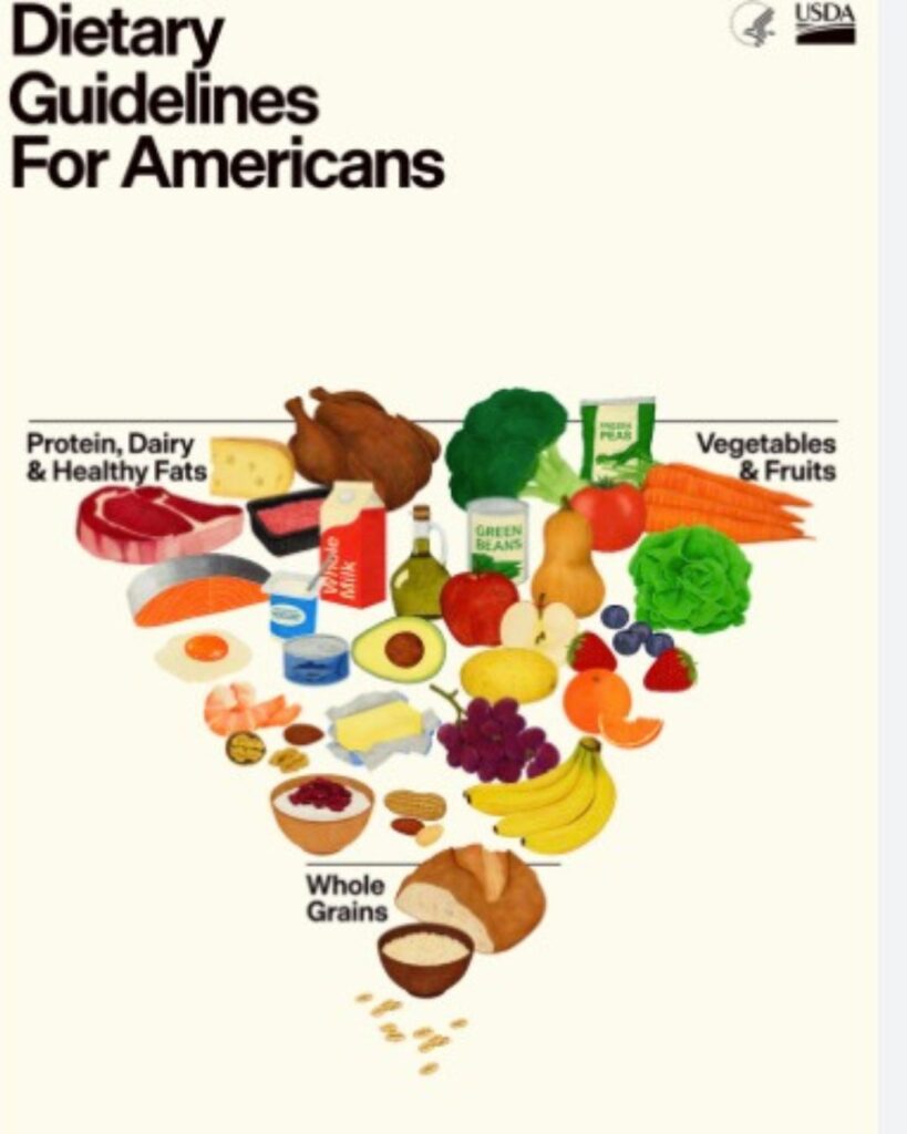 2026 Dietary Guidelines food pyramid showing updated visual structure and food group emphasis.